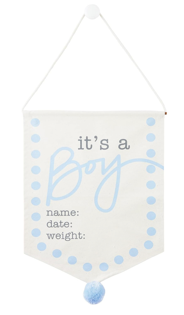 Baby Boy Canvas Sign